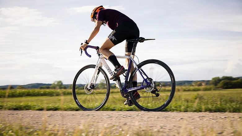 Cykelturer Gotland - Gåsen out