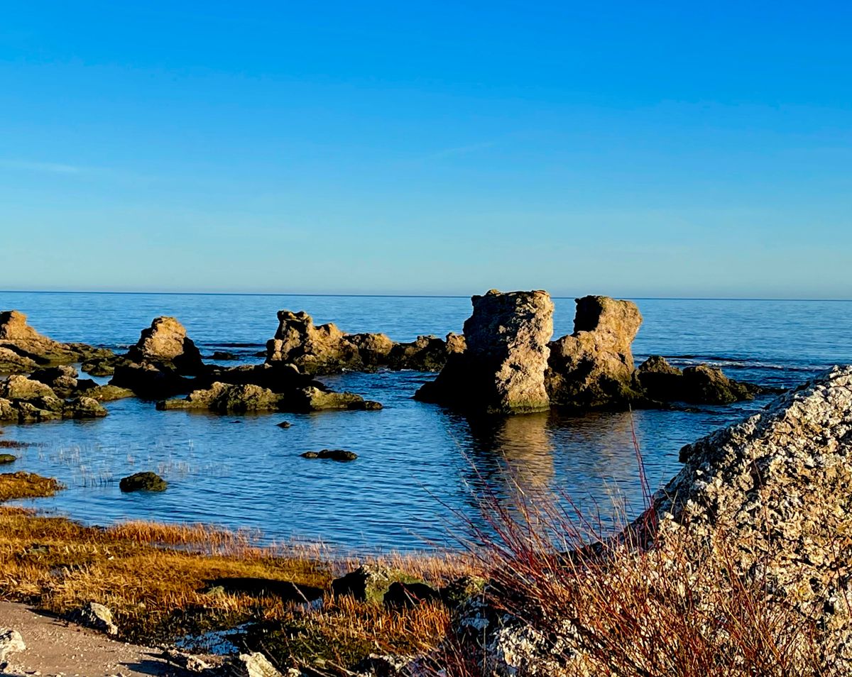 Storsudret Gotland - Hotell Gåsen Out