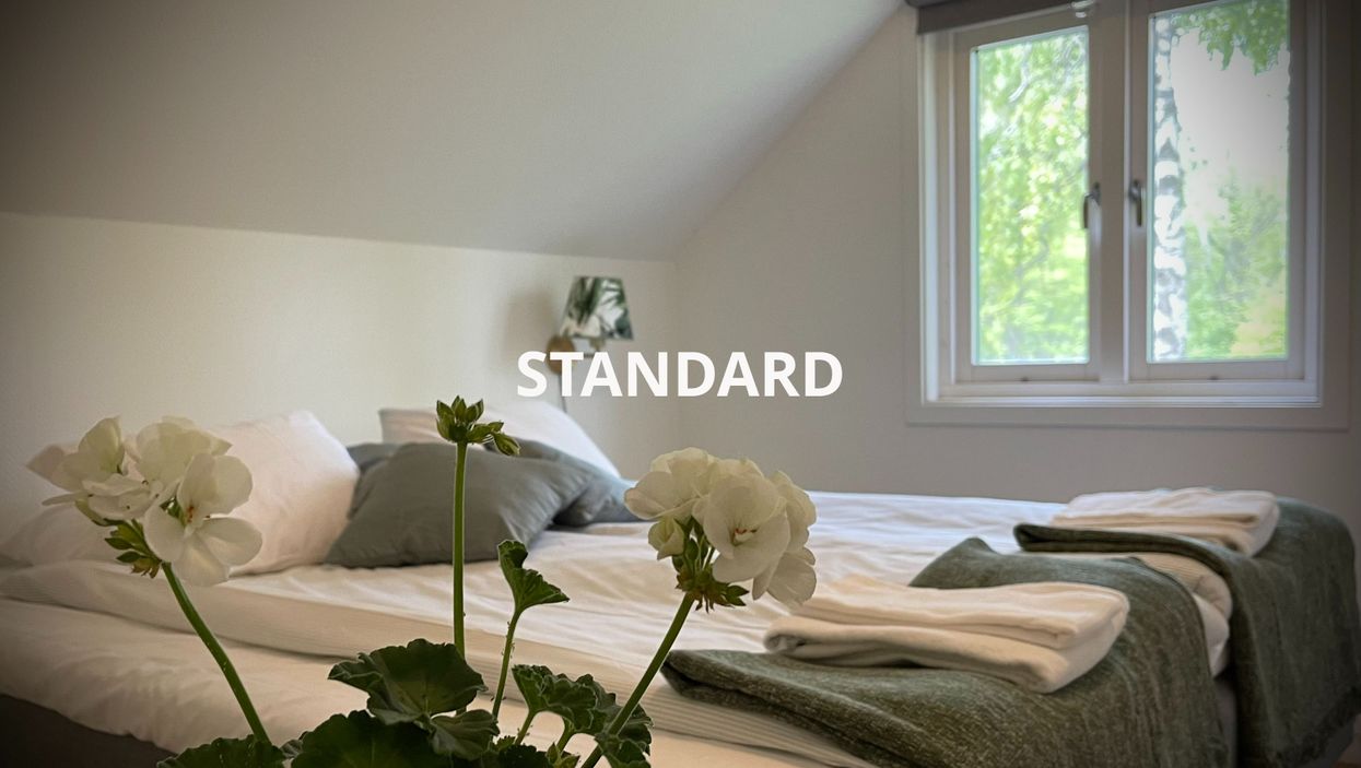 Hotellrum i Gotland - Gåsen Out