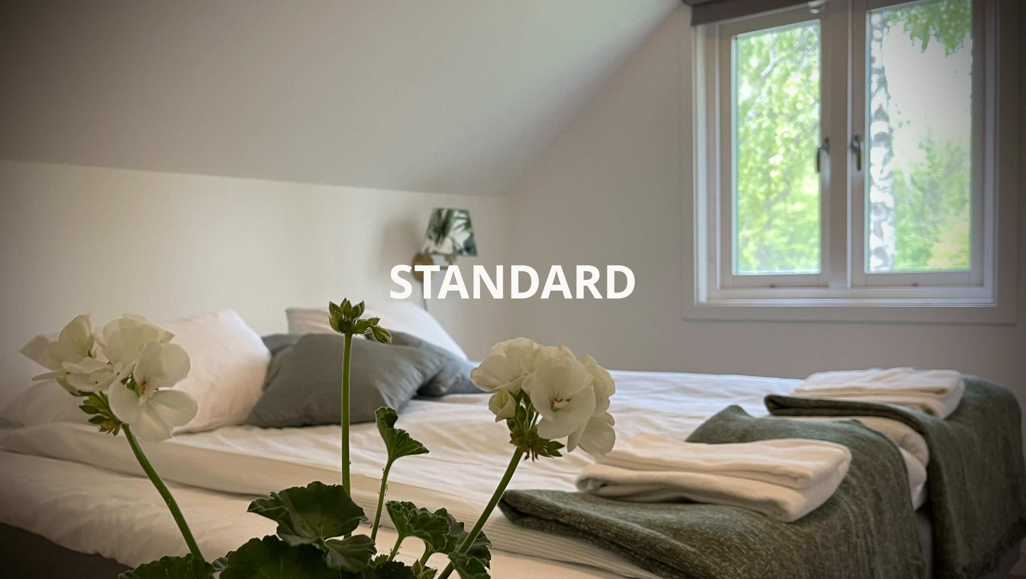 Hotellrum i Gotland - Gåsen Out